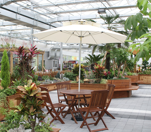 ¼¾Åͳ»ºÎÈÞ°Ô½Ç