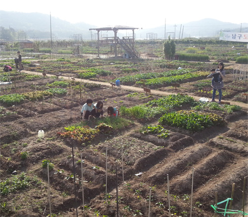 ���ó�� ������