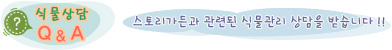 �Ĺ���� q&a Ÿ��Ʋ
