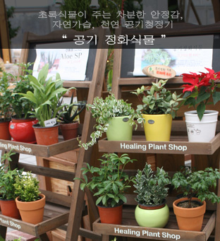 ������ἥ �̹��� 2