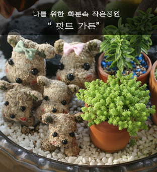 ���丮���� �̹��� 2