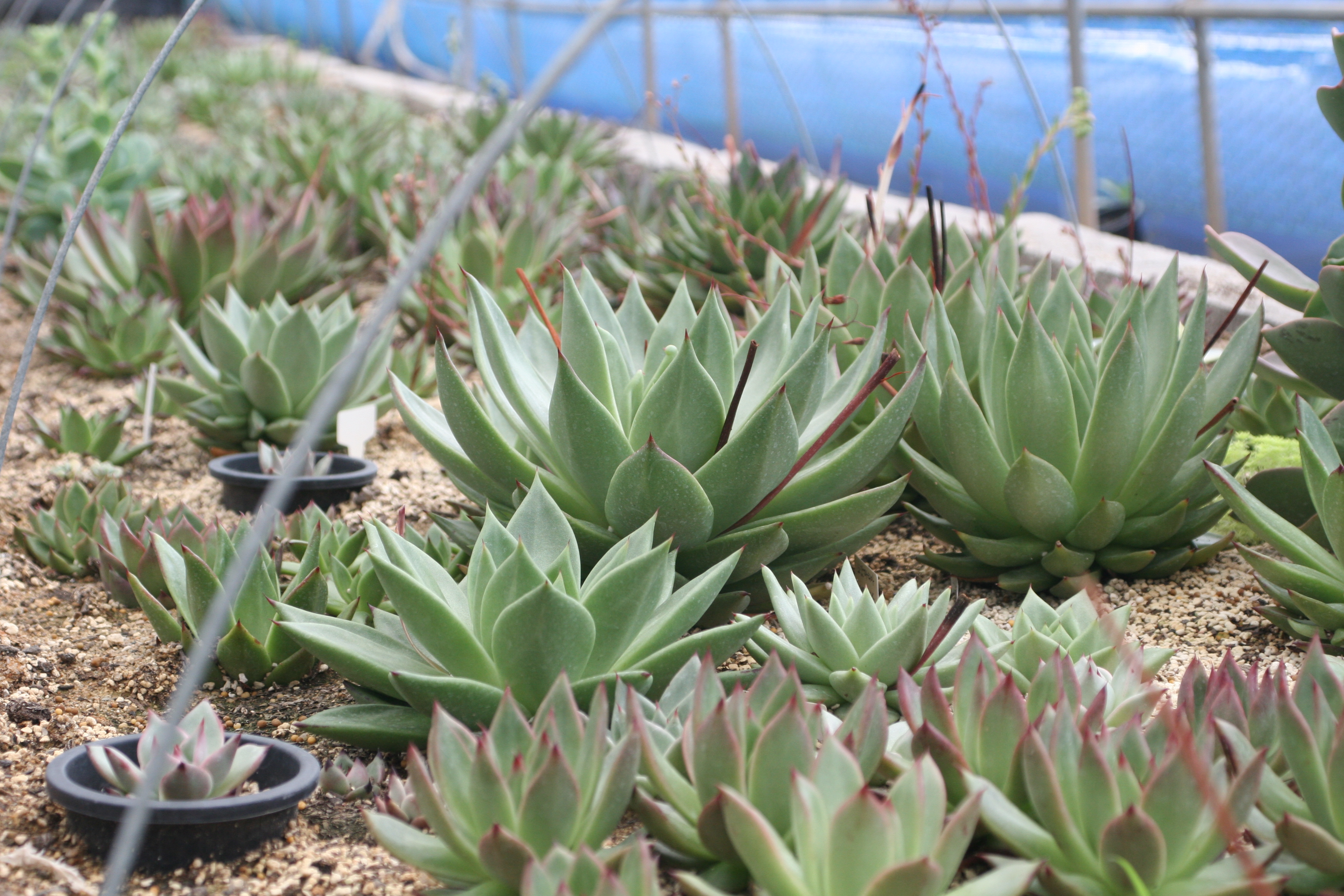 ��̸� ���´ٴ� ����..