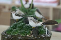 �����Ӱ�...���...