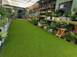 ���������� 17.9.2.��(�����������缾����)