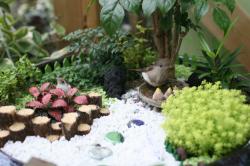 ����� �� �׸��� ��������(healing garden)