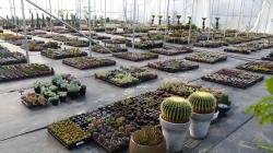 ���������� 5�� ǳ��