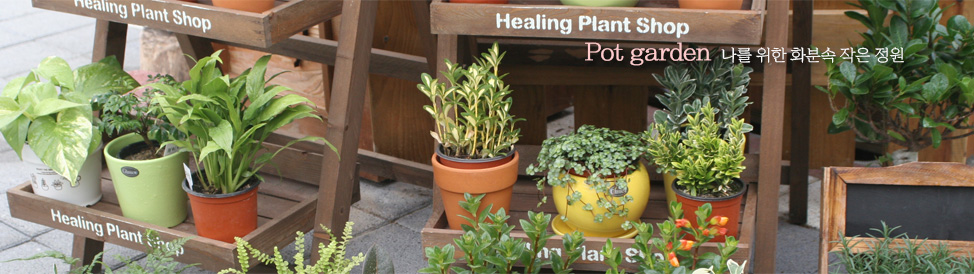 ��Ʈ ����