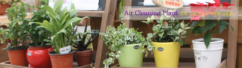 ������ȭ �Ĺ�