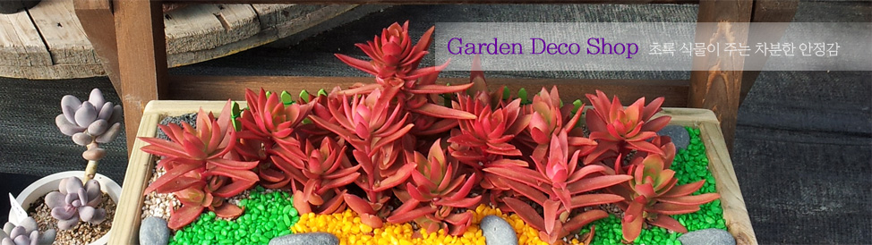 ���� ���ڼ�